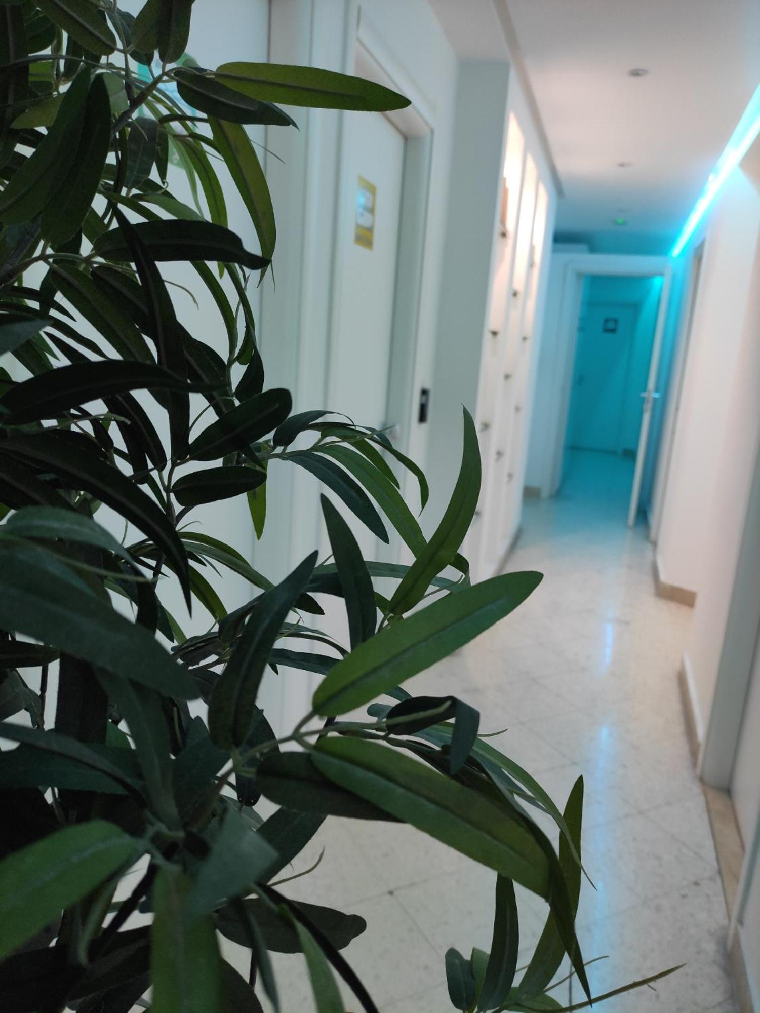 Palermo Central B&B Εξωτερικό φωτογραφία